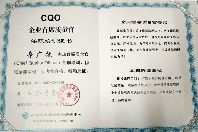 pg电子官方网站的荣誉证书