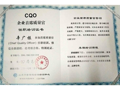pg电子官方网站的荣誉证书