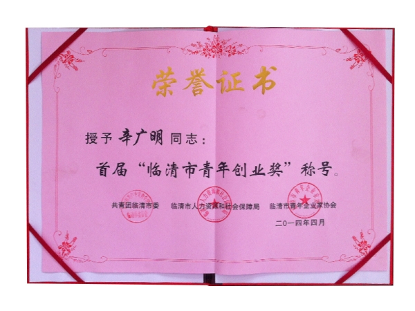 pg电子官方网站的荣誉证书